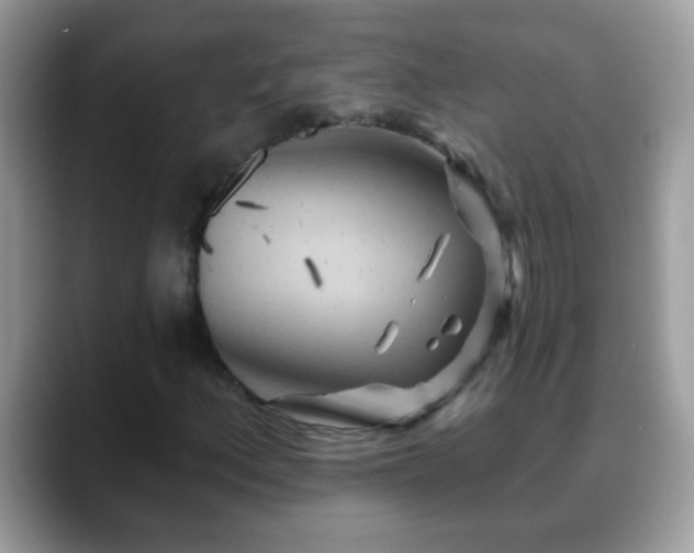 X0000088631156200706011139