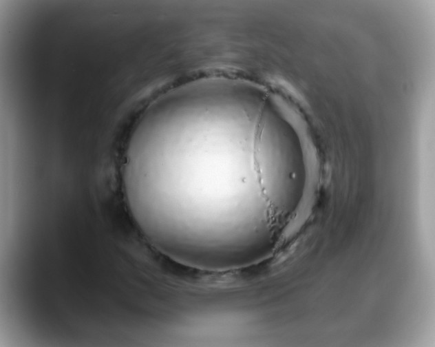 X0000088631159200706011139