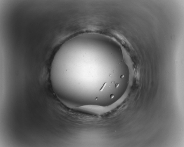 X0000088631160200706011139