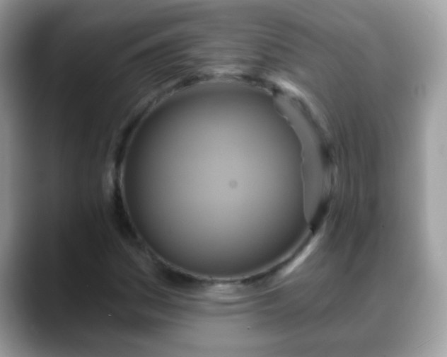 X0000088631161200706011139