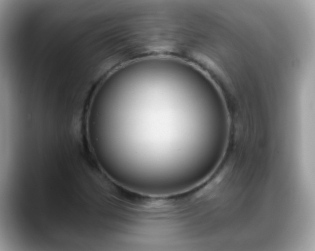 X0000088631162200706011139