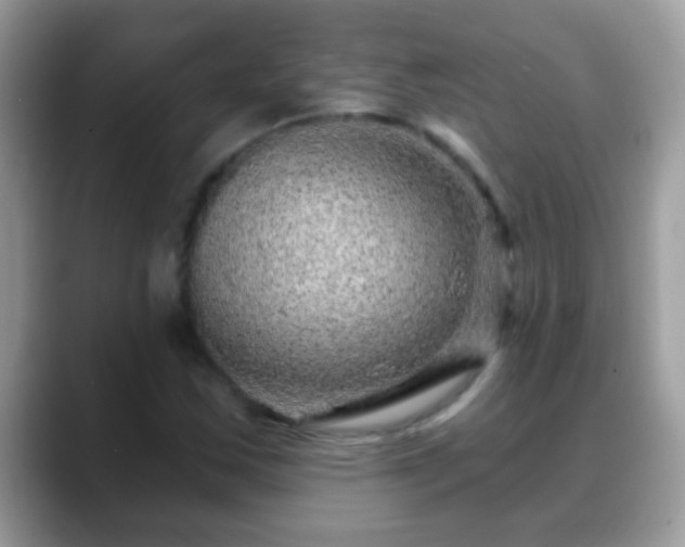 X0000088631163200706011139