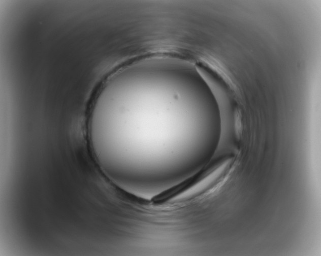 X0000088631164200706011139