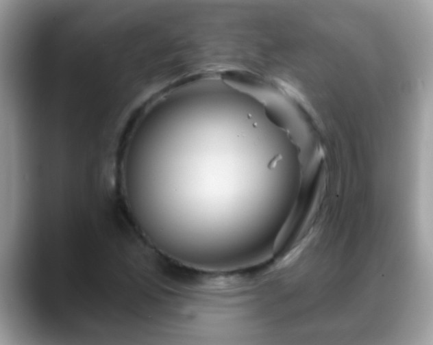 X0000088631165200706011139