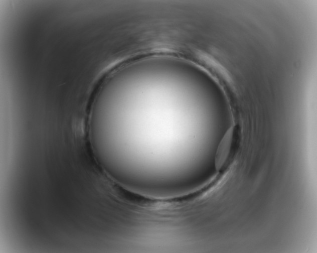 X0000088631166200706011139