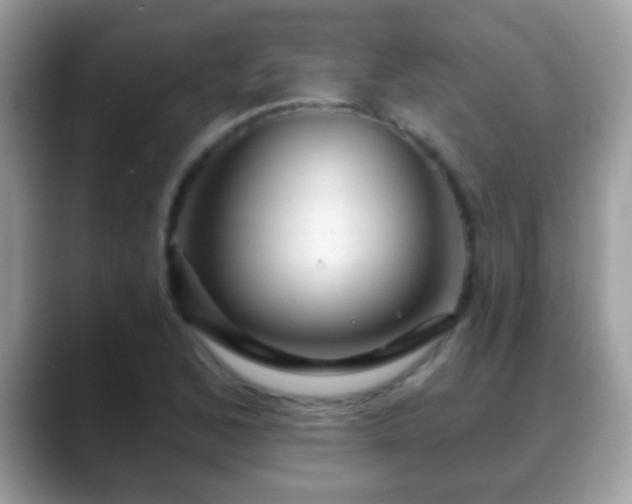 X0000088631168200706011139