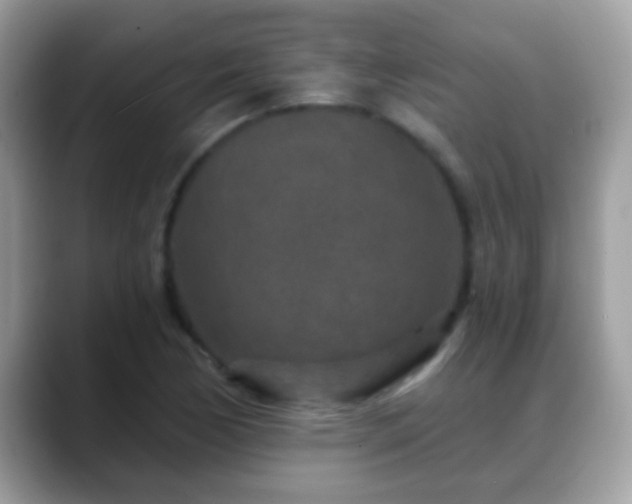 X0000088631170200706011139