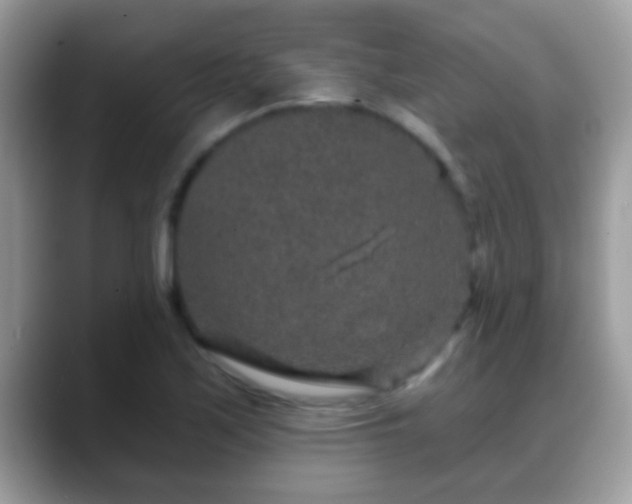 X0000088631171200706011139