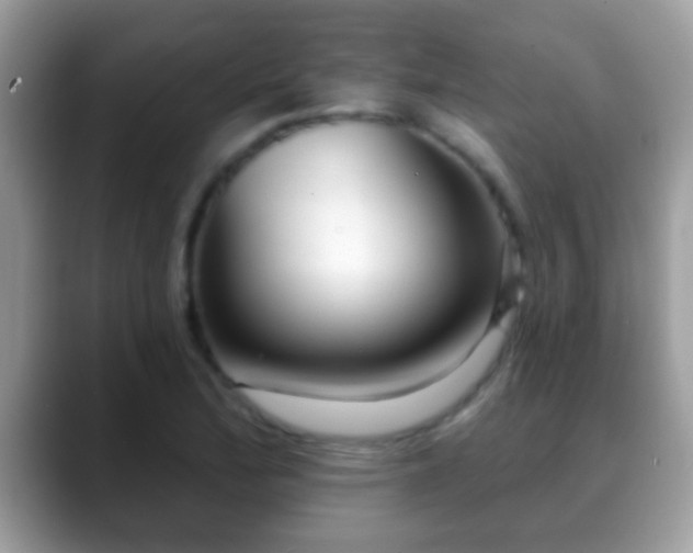 X0000088631172200706011139