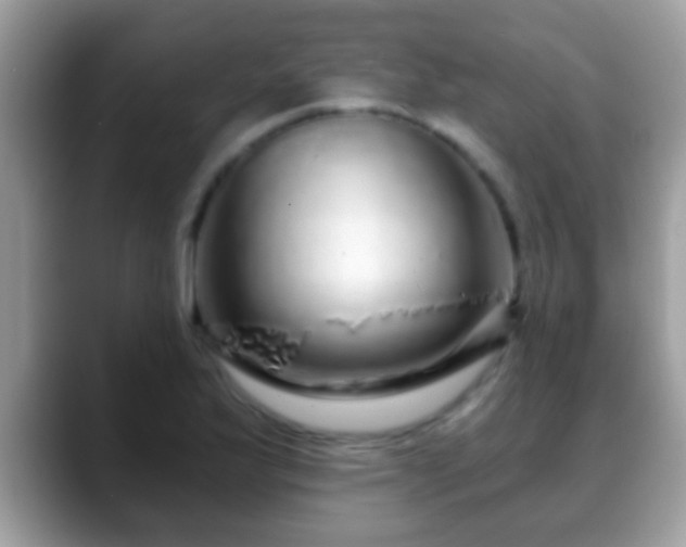 X0000088631175200706011139