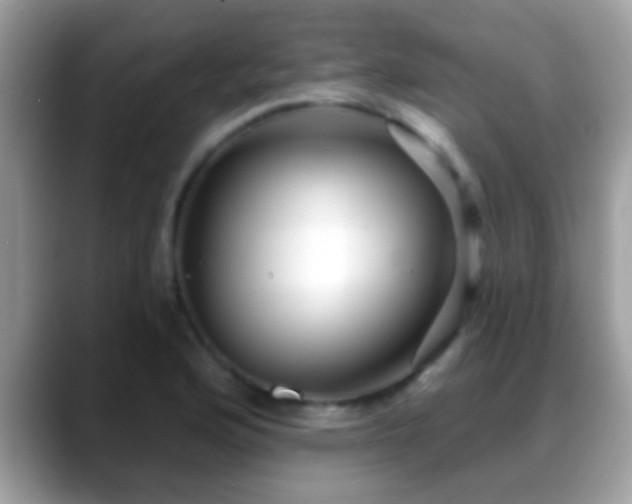 X0000088631176200706011139