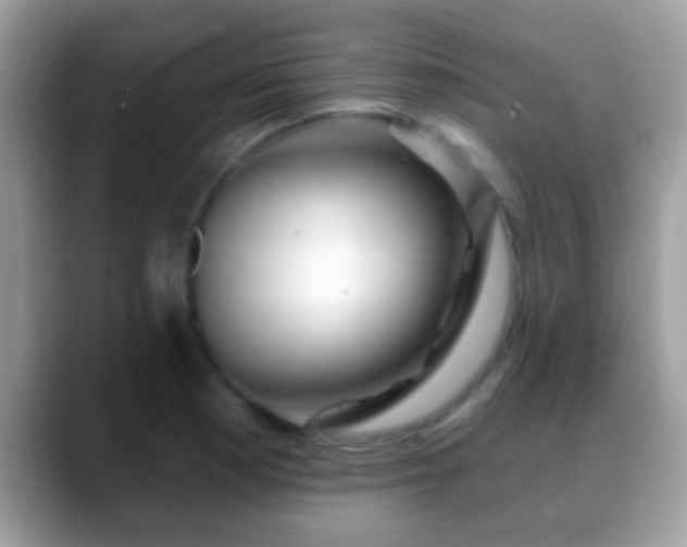 X0000088631177200706011139