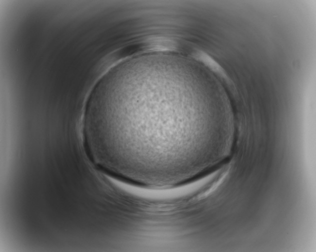 X0000088631178200706011139