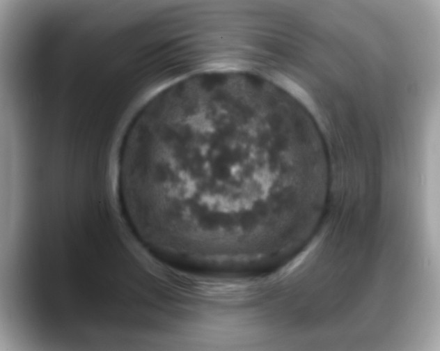 X0000088631179200706011139