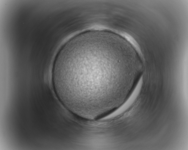 X0000088631183200706011139