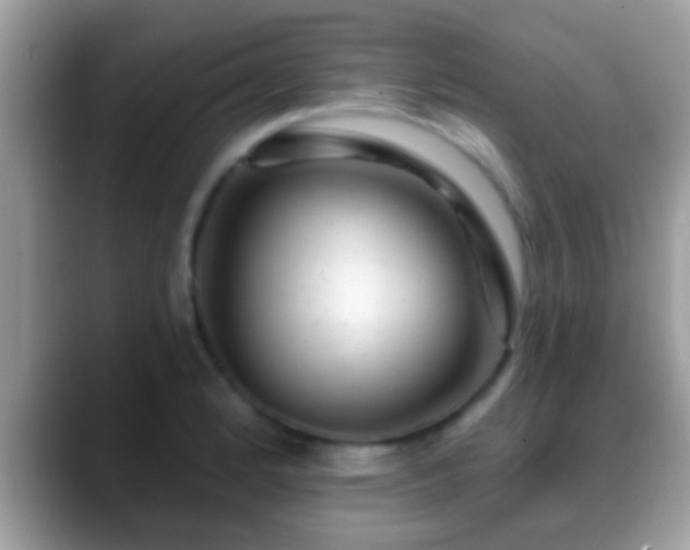 X0000088631184200706011139