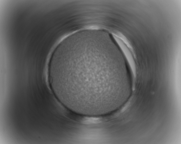 X0000088631187200706011139