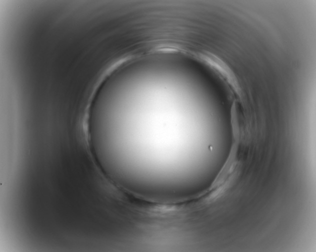 X0000088631190200706011139