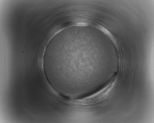 X0000088631194200706011139