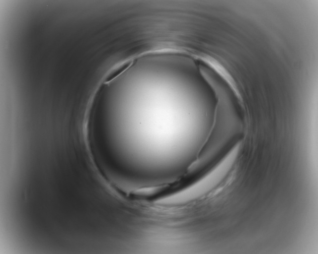 X0000088631197200706011139