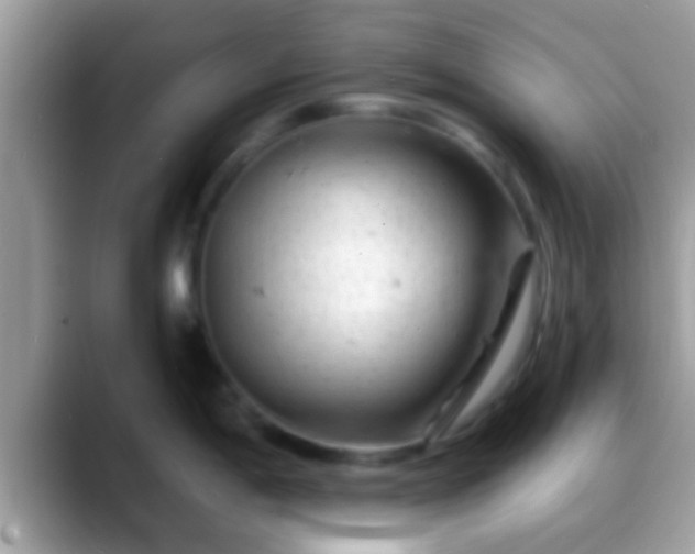 X0000088631198200706011139