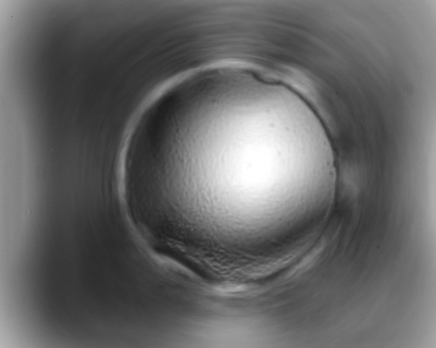 X0000088631199200706011139