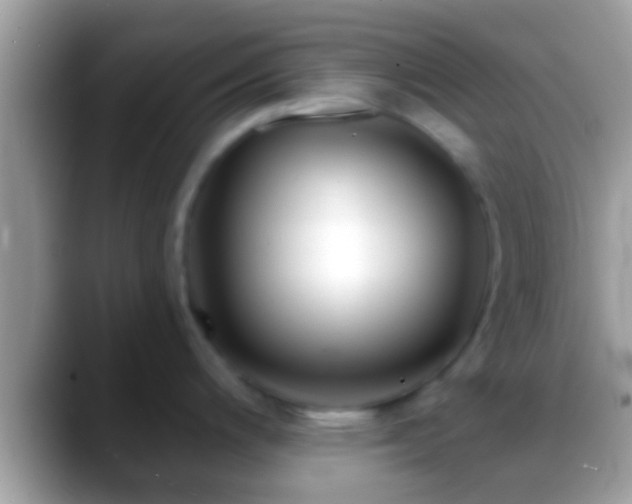 X0000088631200200706011139