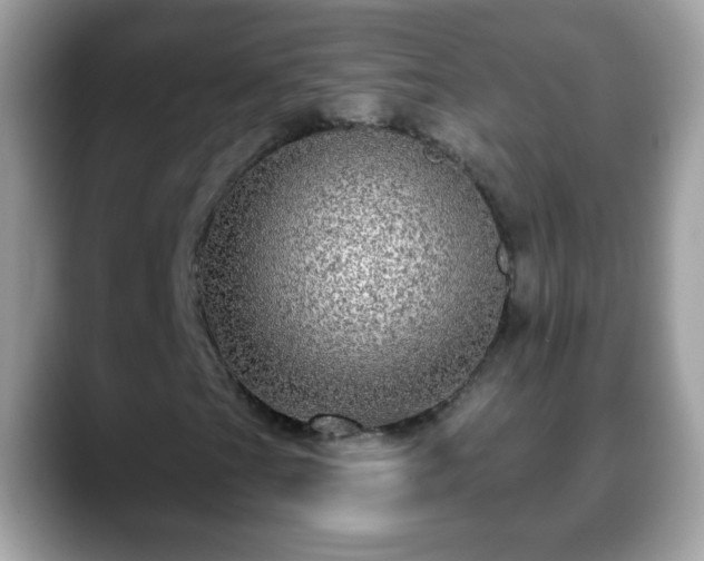 X0000088631201200706011138