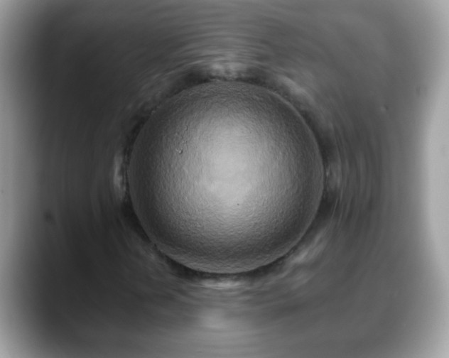 X0000088631202200706011138