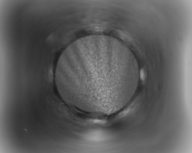 X0000088631203200706011138