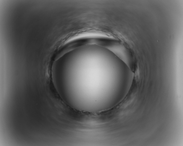 X0000088631206200706011138