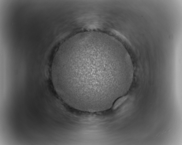 X0000088631207200706011138