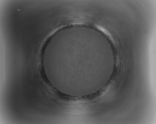 X0000088631208200706011138