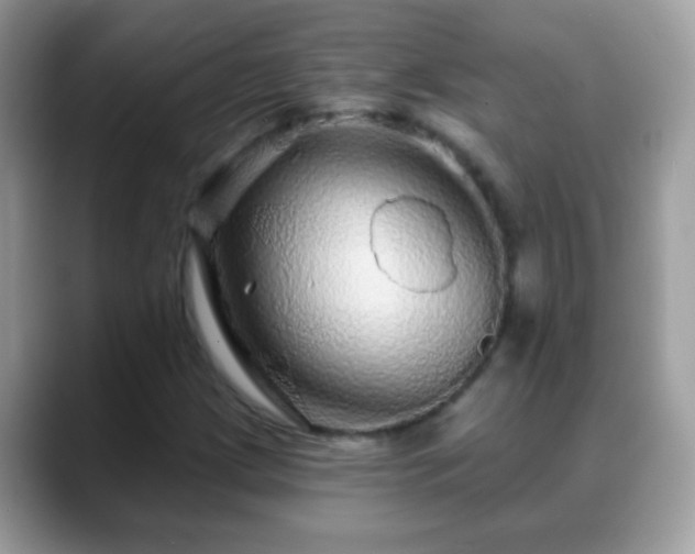 X0000088631209200706011138