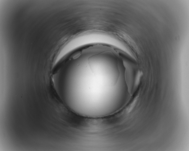 X0000088631210200706011138