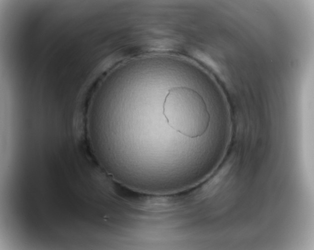 X0000088631211200706011138