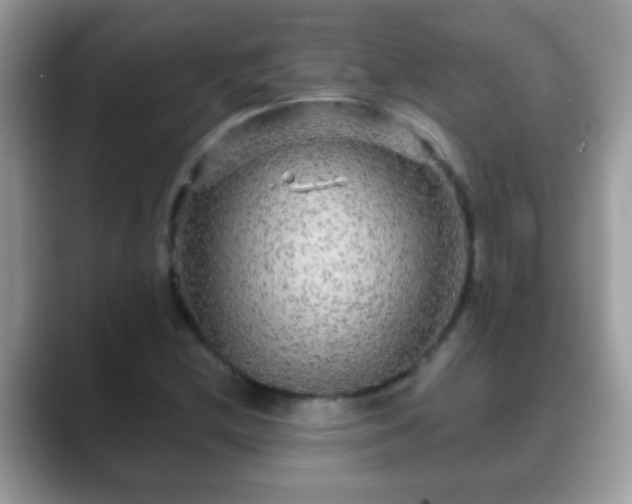 X0000088631212200706011138