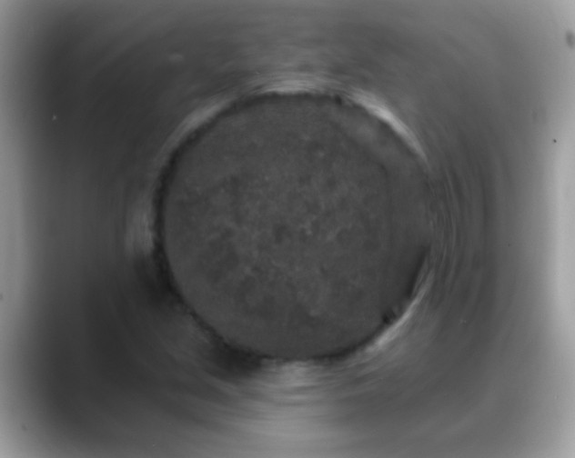 X0000088631213200706011138