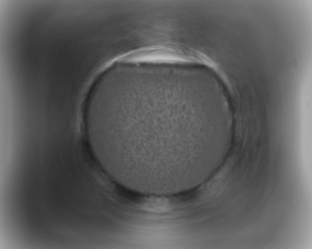 X0000088631215200706011138