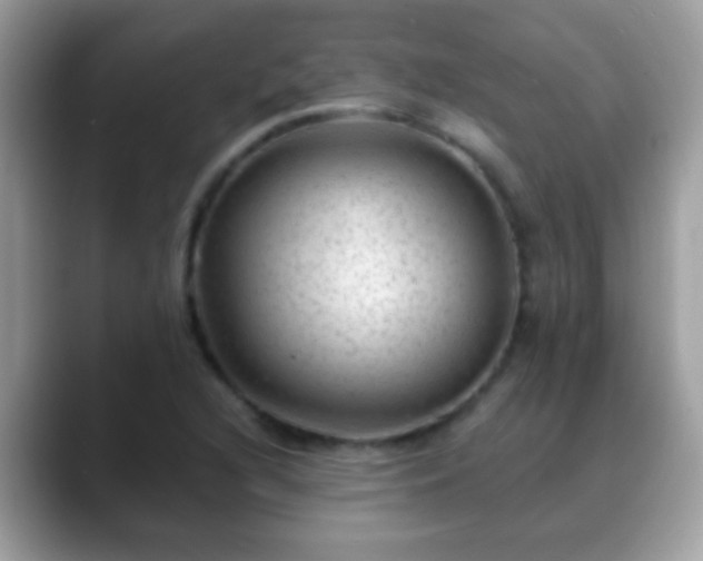 X0000088631216200706011138