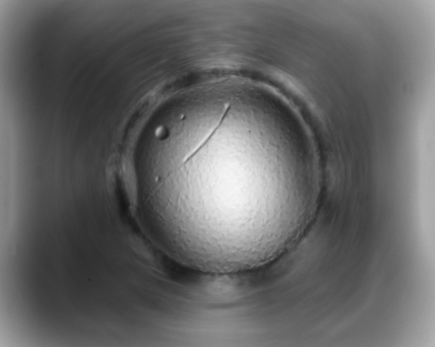 X0000088631217200706011138