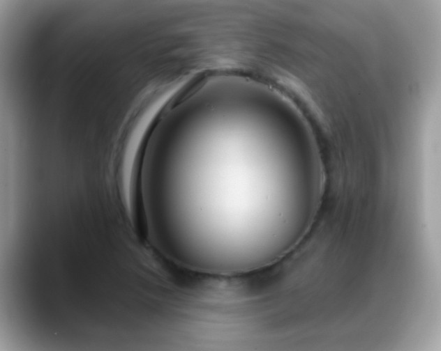 X0000088631218200706011138