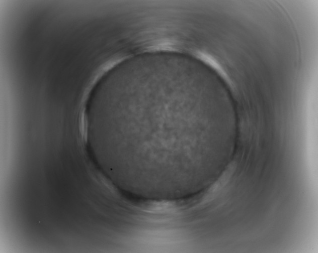 X0000088631219200706011139