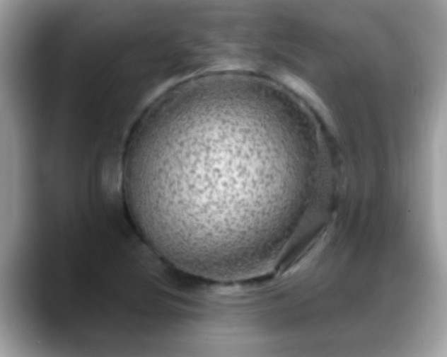 X0000088631220200706011139