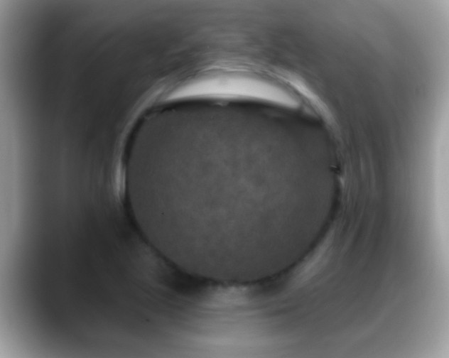 X0000088631221200706011139