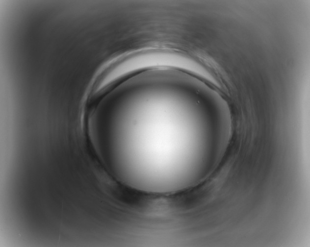 X0000088631222200706011139