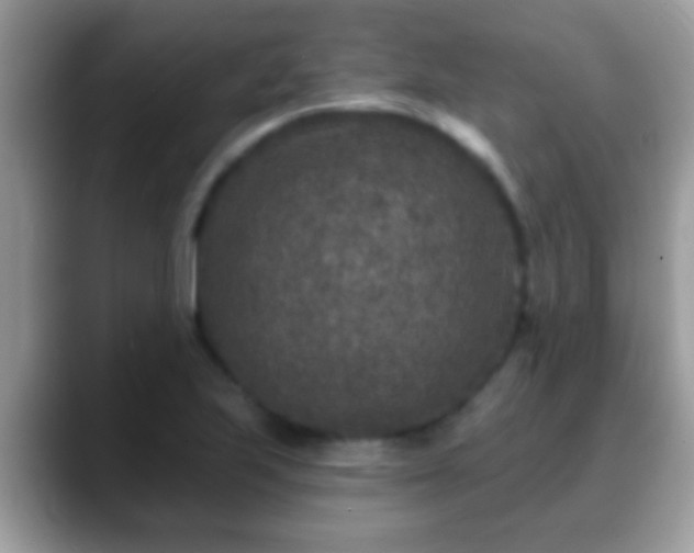 X0000088631223200706011139