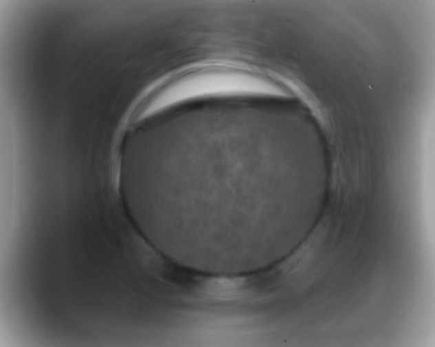 X0000088631224200706011139