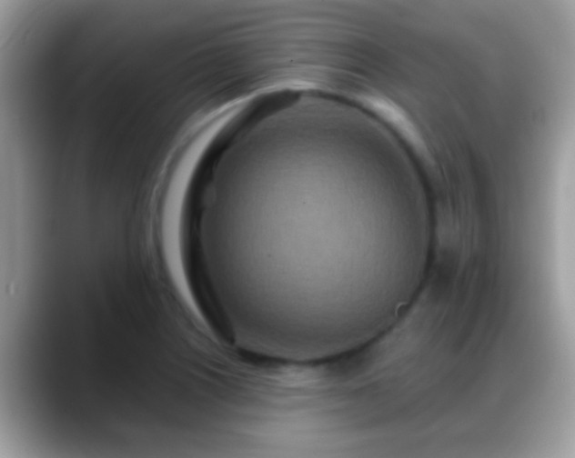 X0000088631226200706011139