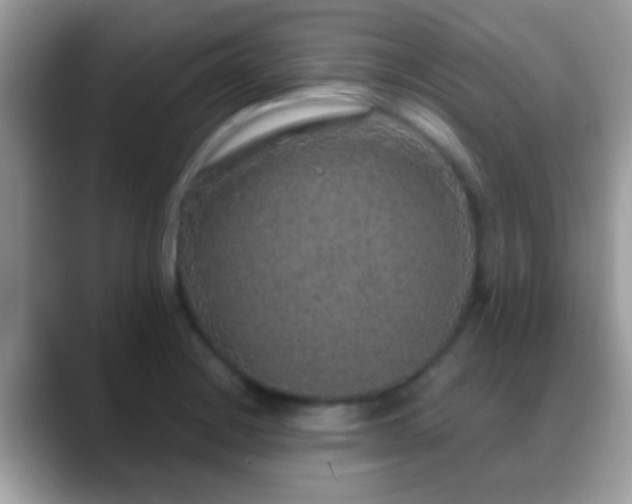 X0000088631228200706011139